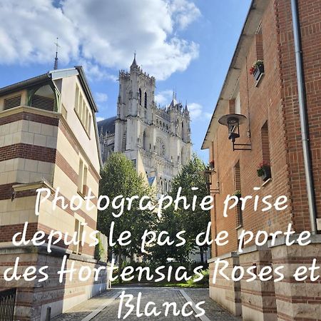 Les Hortensias Blancs Studio 아미앵 외부 사진