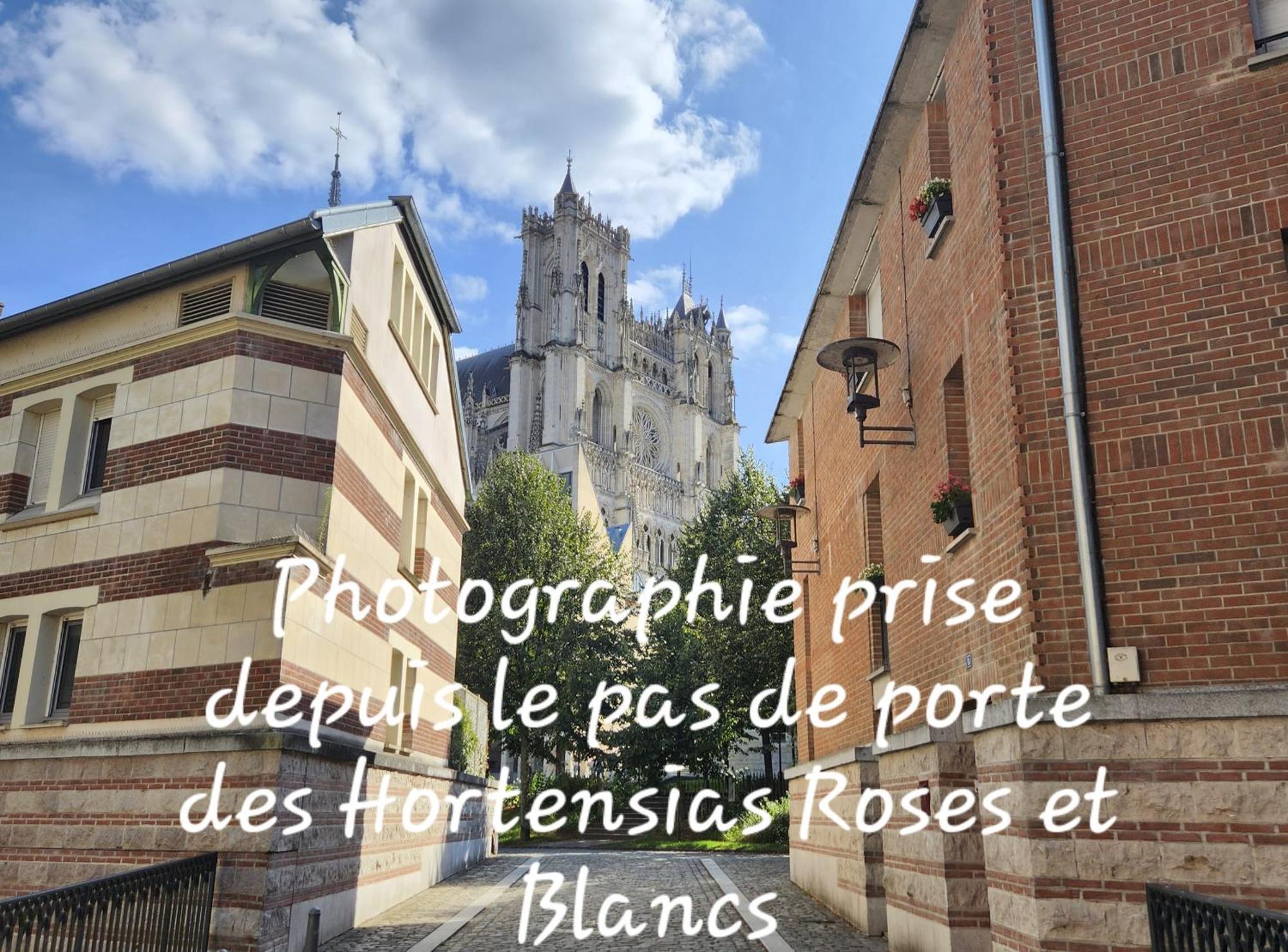 Les Hortensias Blancs Studio 아미앵 외부 사진